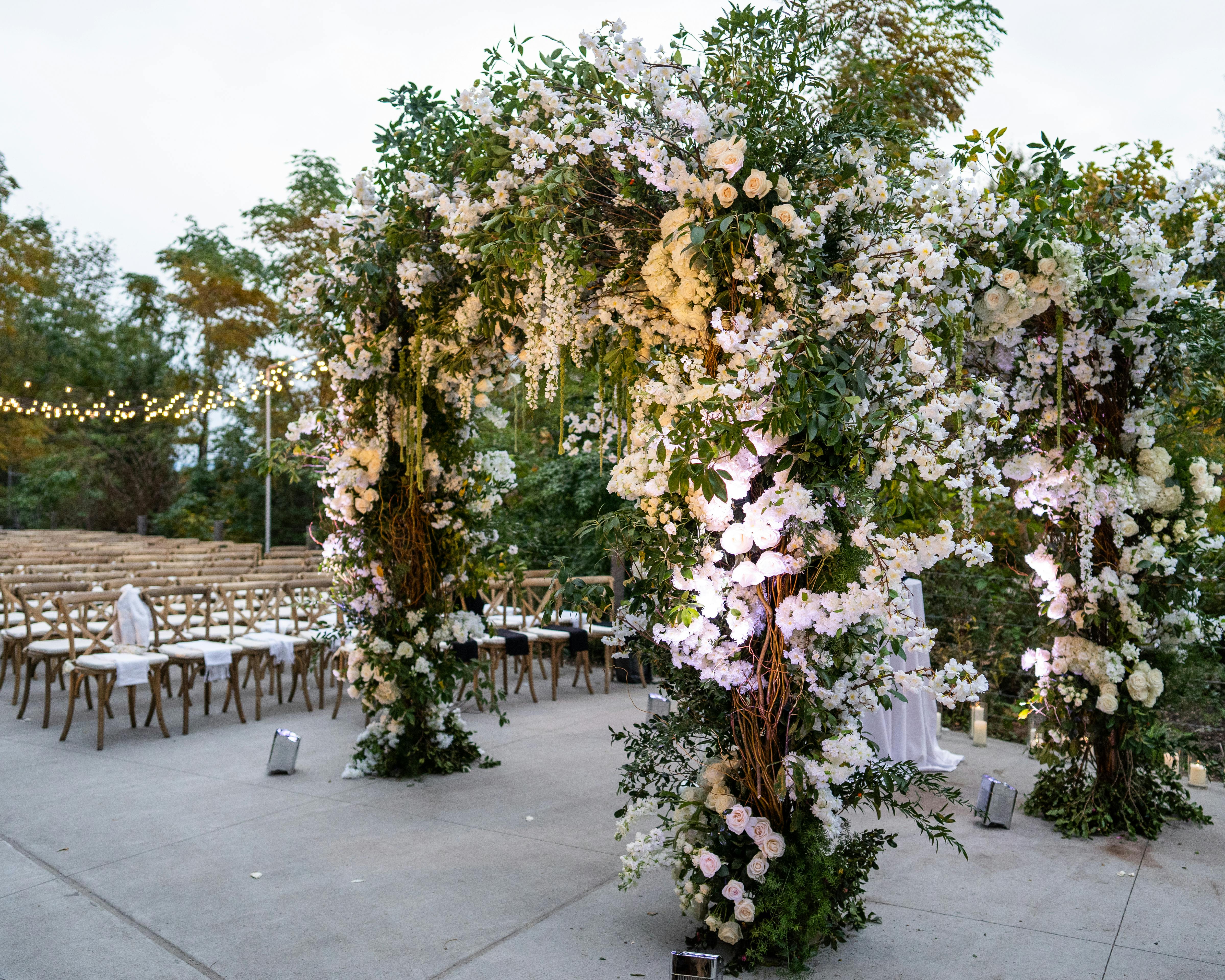 enchanting twilight garden