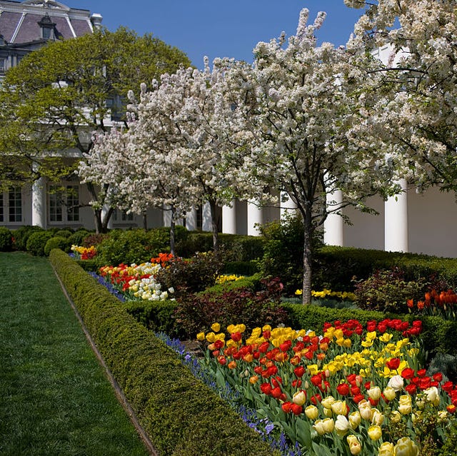 historic white house garden