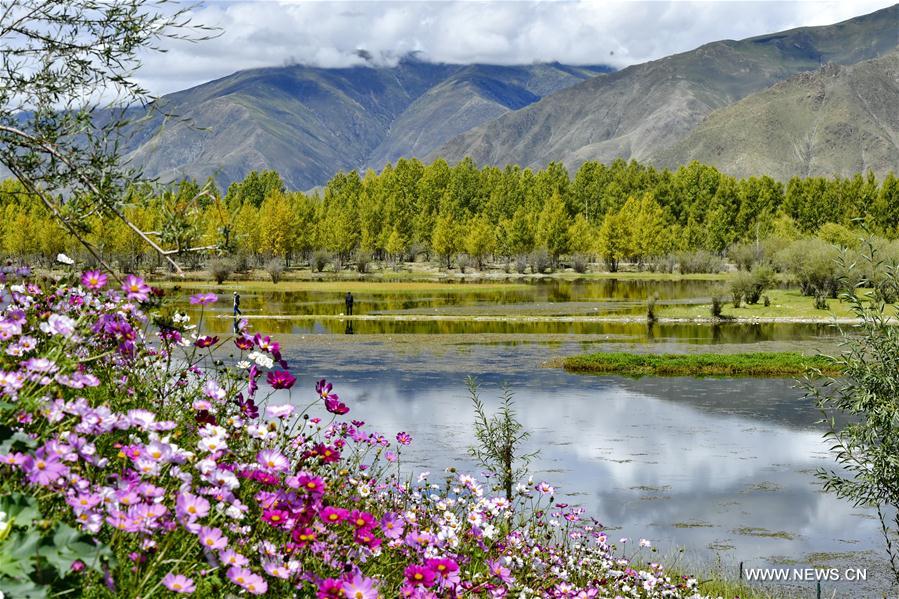 pond scenery