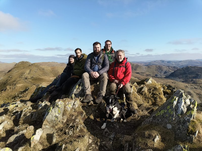 rover-scout-collaborative-support-research-synthesis-bbwug4w7