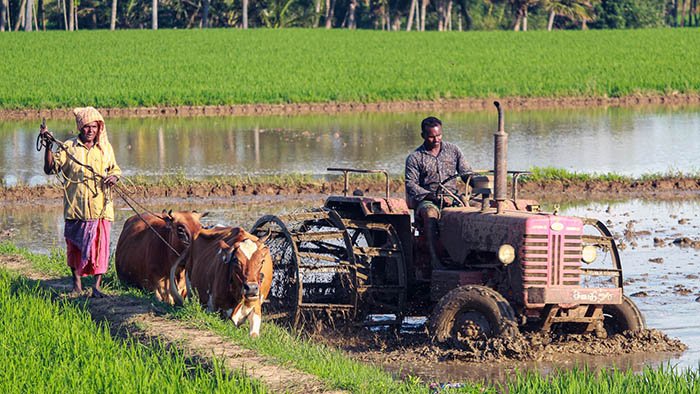 village landscape traditional agriculture technology