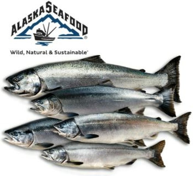 salmon-coho-harvesting-materials-uopgjmsb