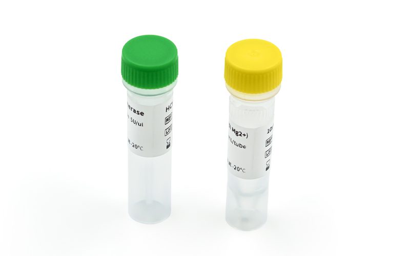 cellular DNA replication laboratory equipment