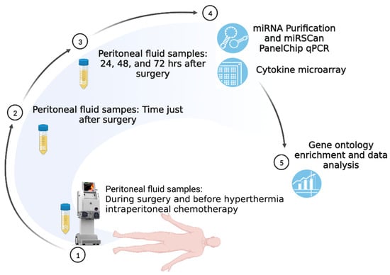 medical scene abdominal fluid analysis