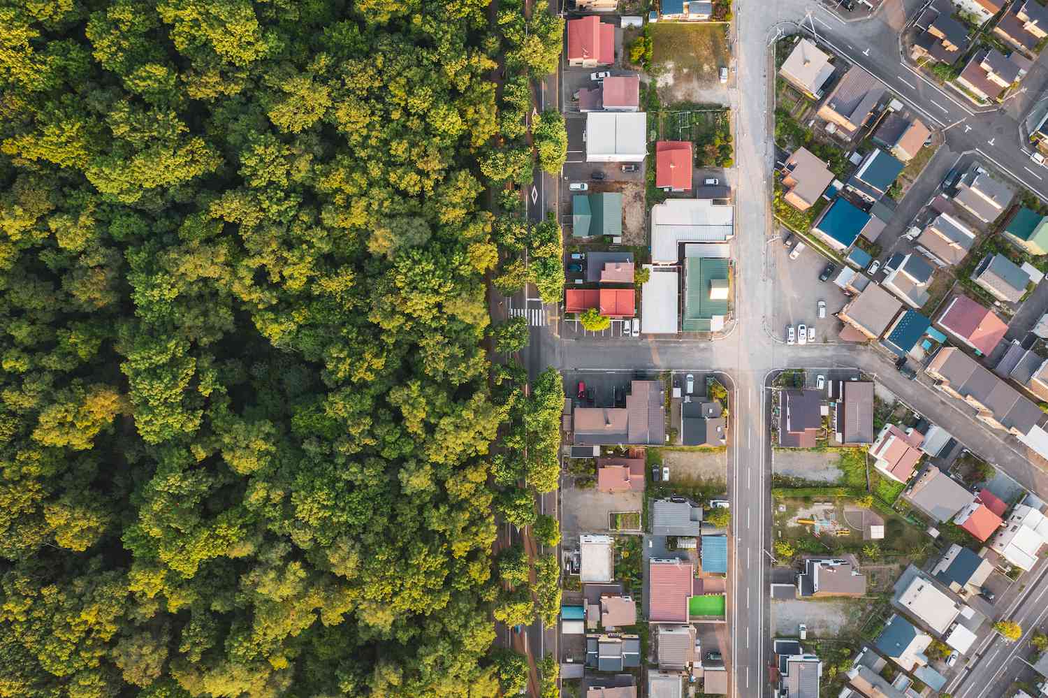 urban architecture and nature in harmony