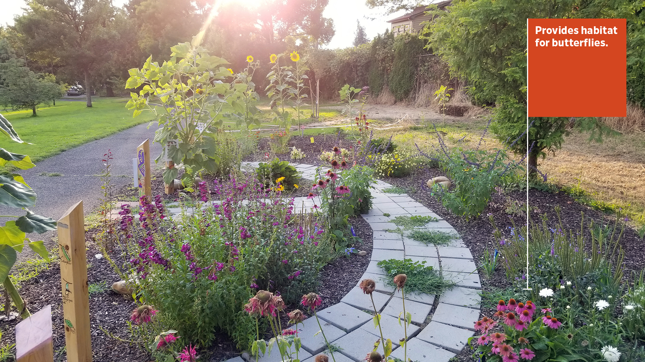 school green landscape