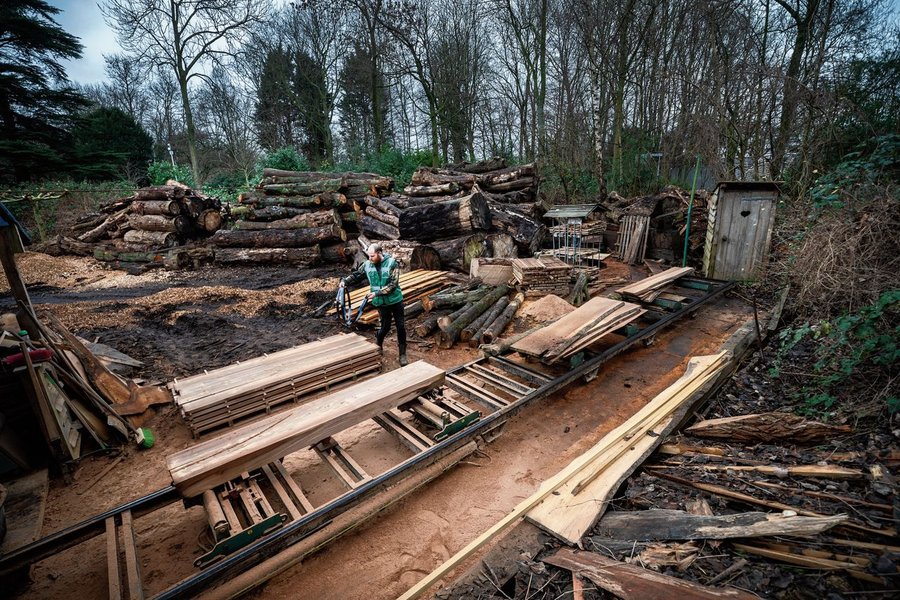 Gekapte boomstammen klaar voor verwerking