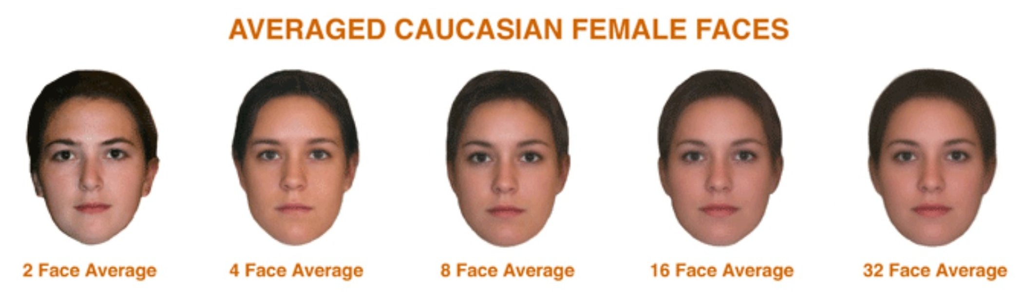 science-attractiveness-speech-appearance-analysis-ocbmnj8l