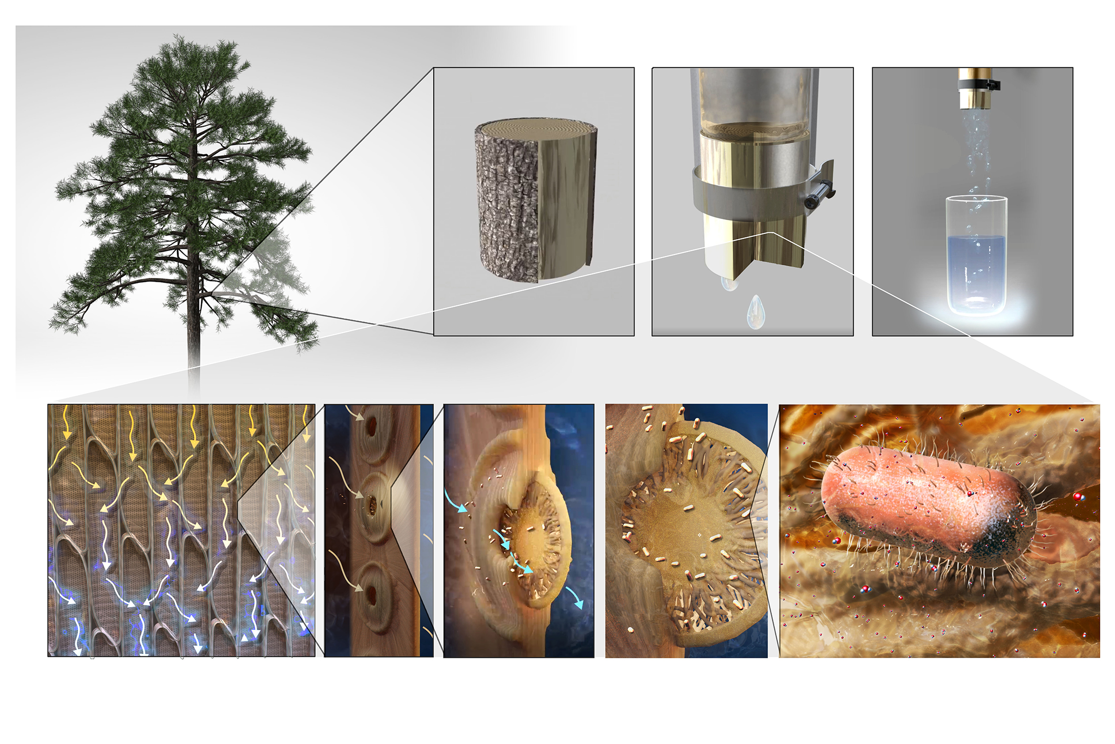water purification system prototype in nature