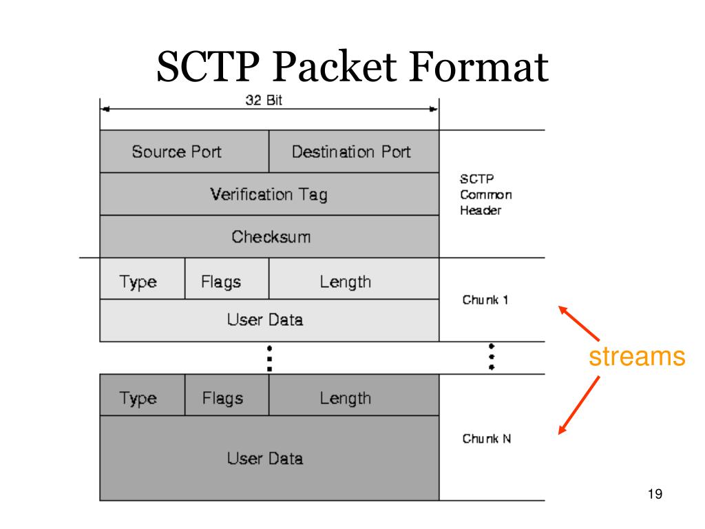 sctp packet networking