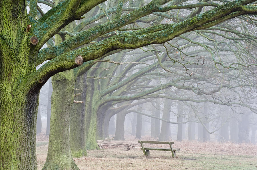 landscape autumn winter scenery