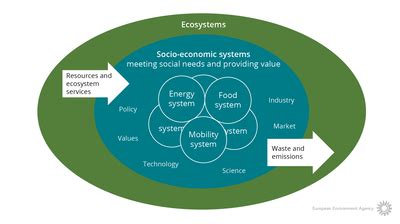 economic consciousness environment
