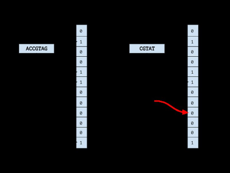 Diagram explaining how a Bloom filter works with hash functions and a bit array