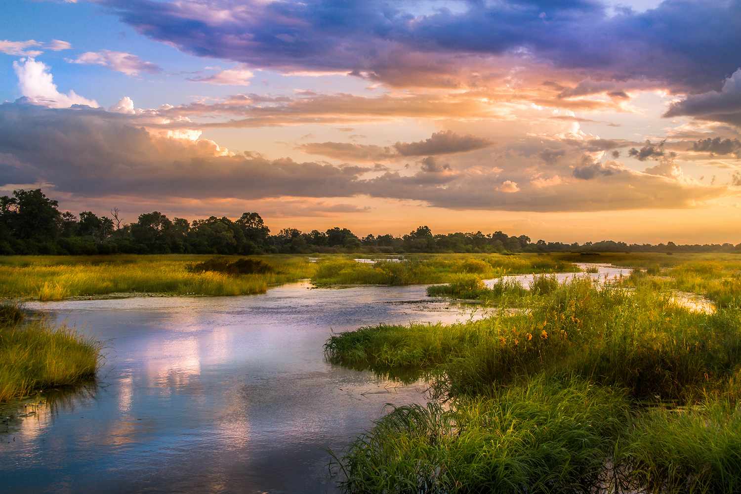scenic view of nature inspiring growth