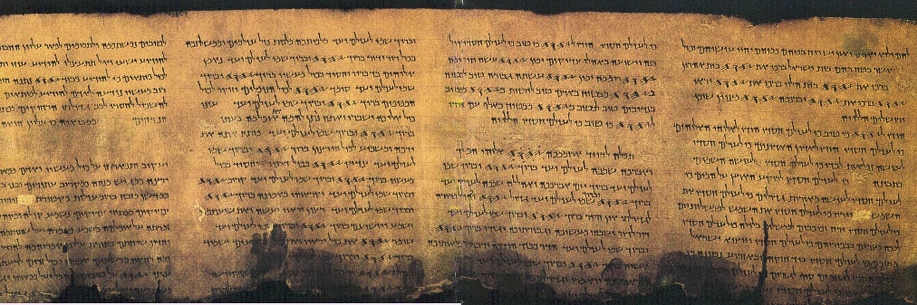 A fragment of a Dead Sea Scroll containing Psalms