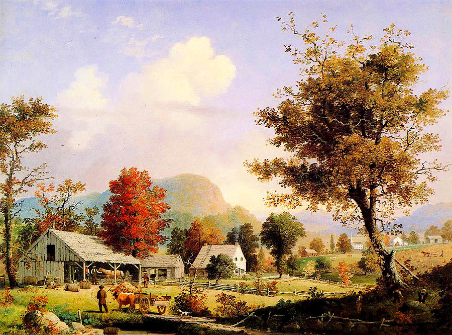 mountainous landscape forest village