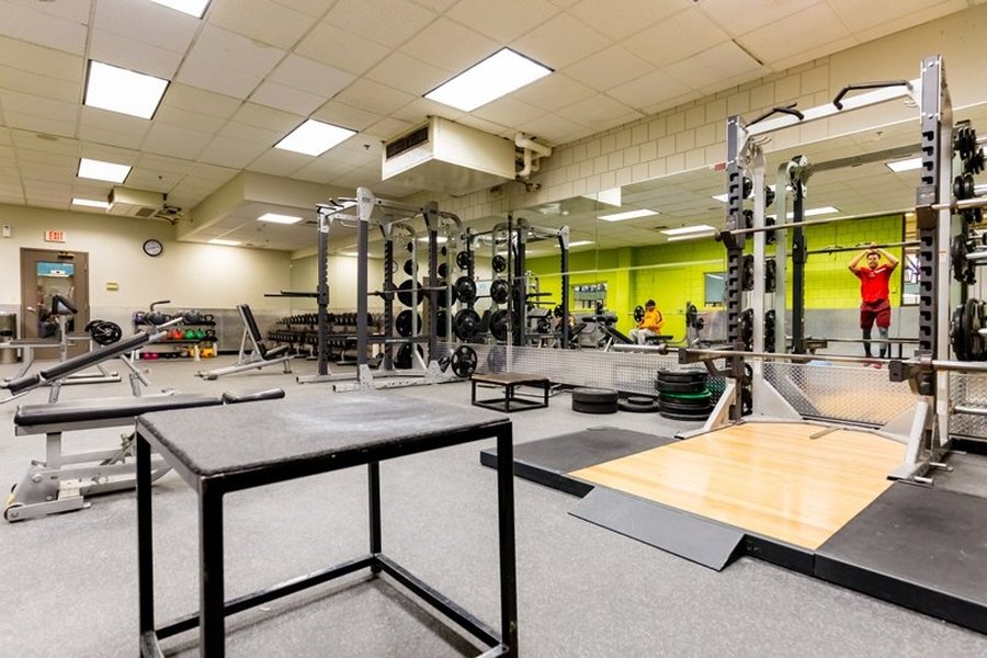 senior-free-weight-training-d8gx2rtn