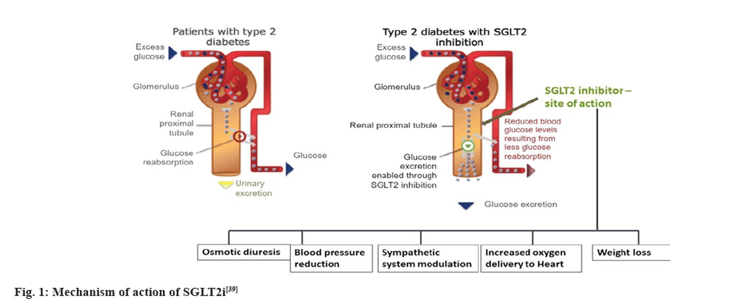 sglt2-inhibitors-cauti-risk-research-design-jp-cppwd8vm