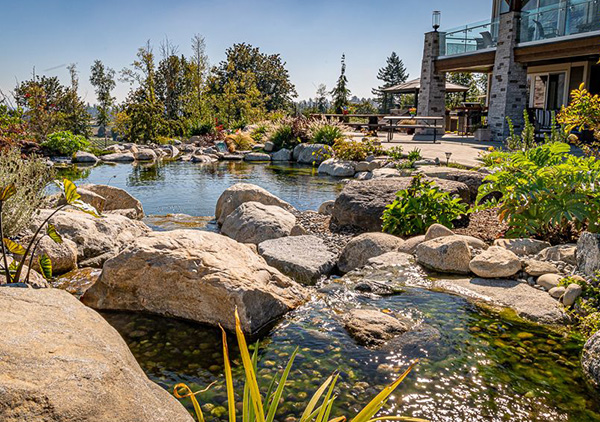 landscape modern architectural design elements