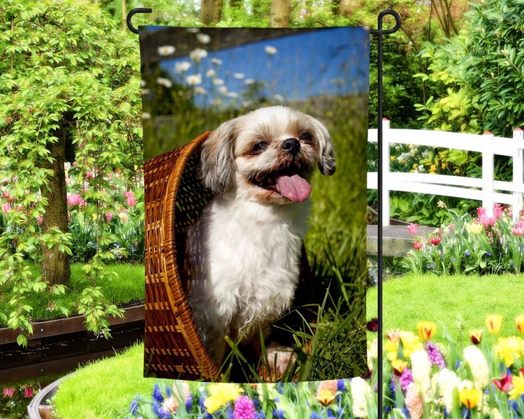 shih-tzu-flag-design-ideas-8pfspqe9