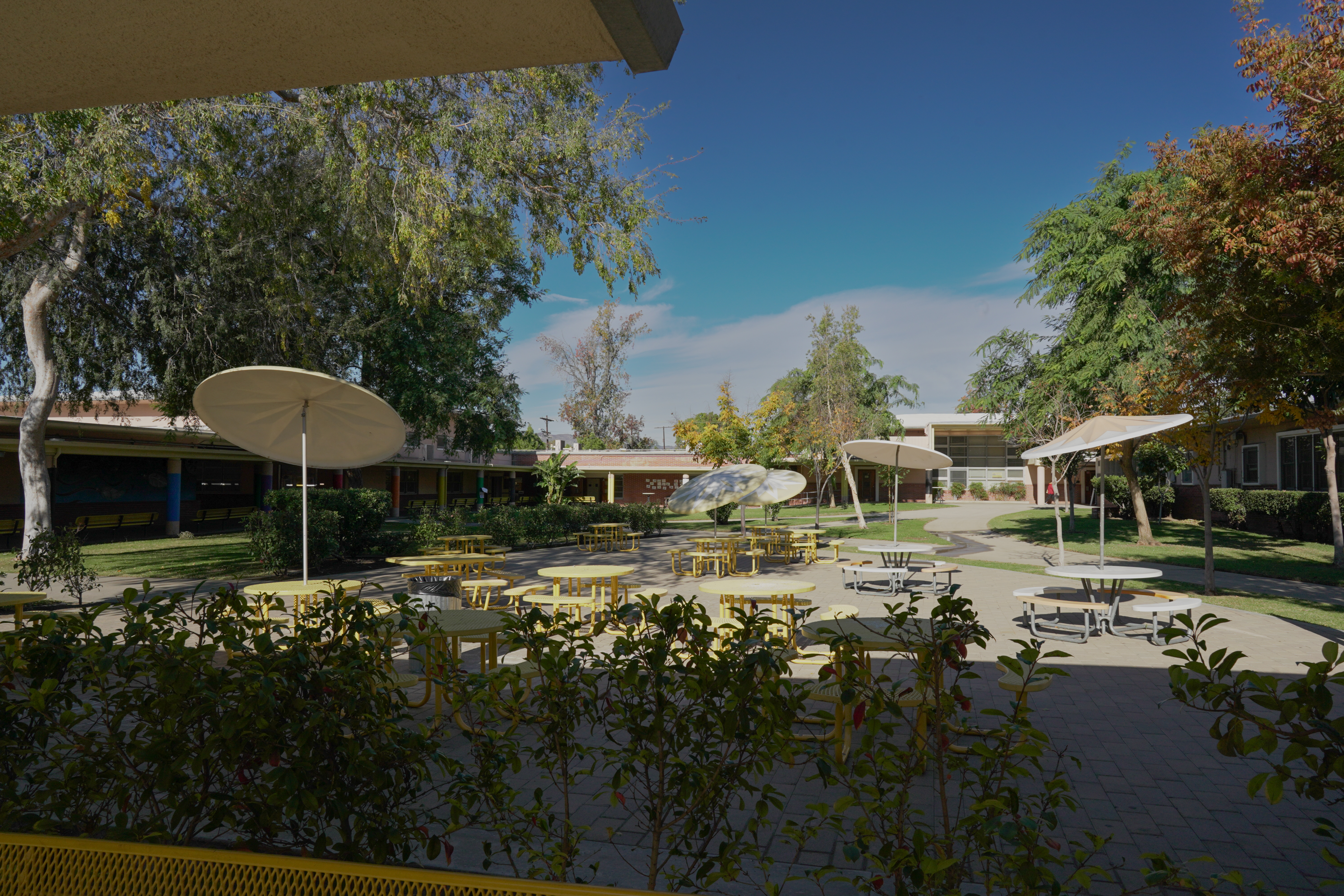 senior high school campus outdoor