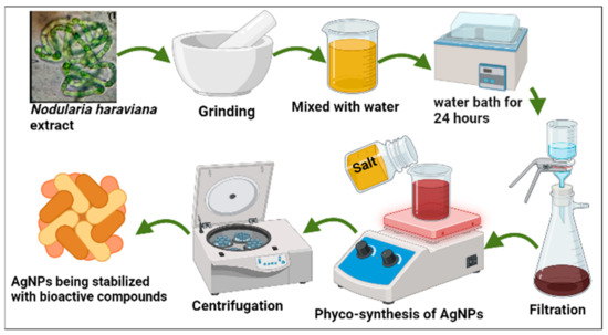silver oxide nanoparticles in lab setting