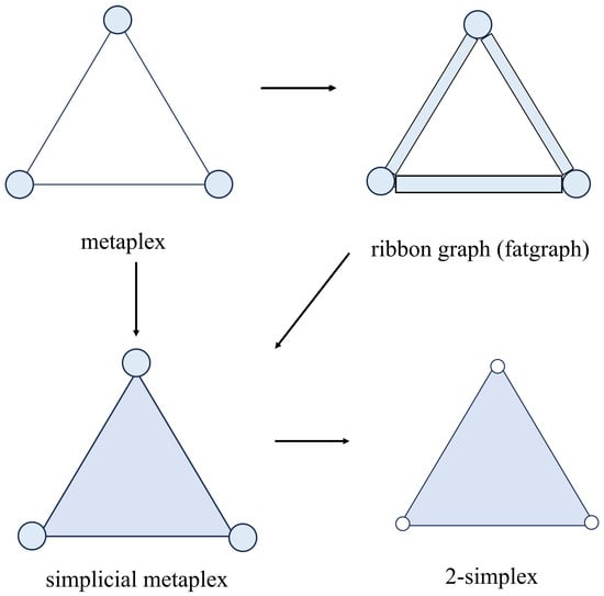 physical simplicial diagrams and abstract structures