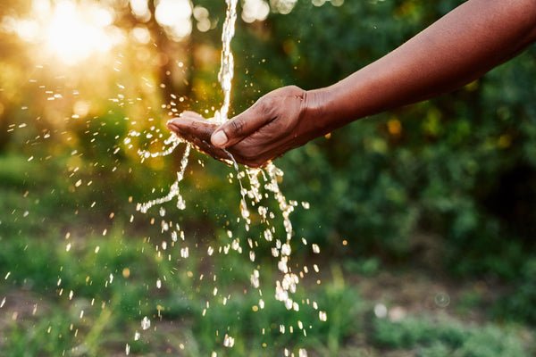 sustainable practices natural background