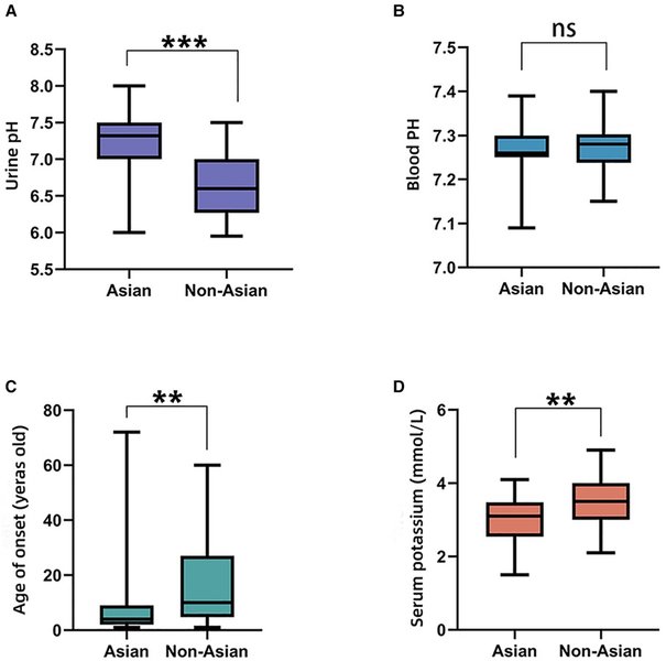 SLC4A1 gene mutation mechanisms