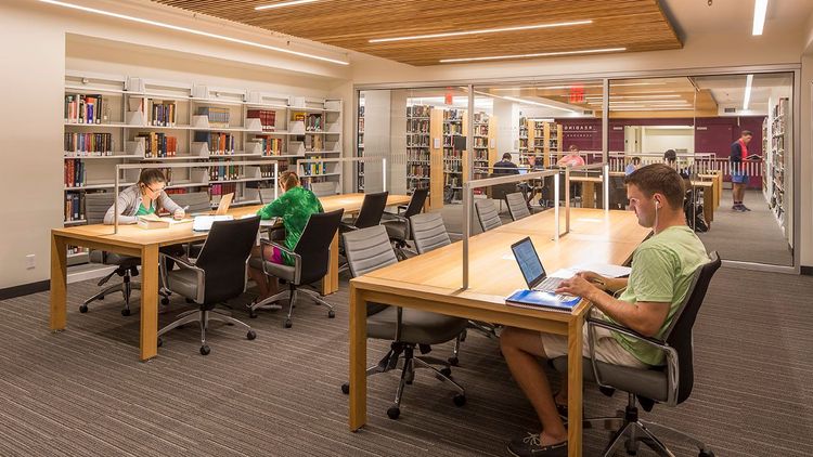 high school students studying with natural light and books