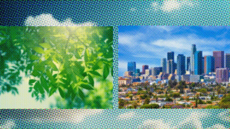 urban landscape and digital data research