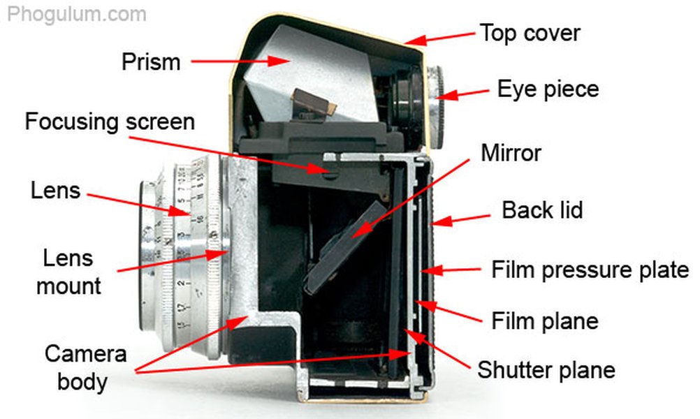 Slr Camera Basic Tutorial Ithy - Capturing the World Through Glass and Mirrors: The SLR Camera ...