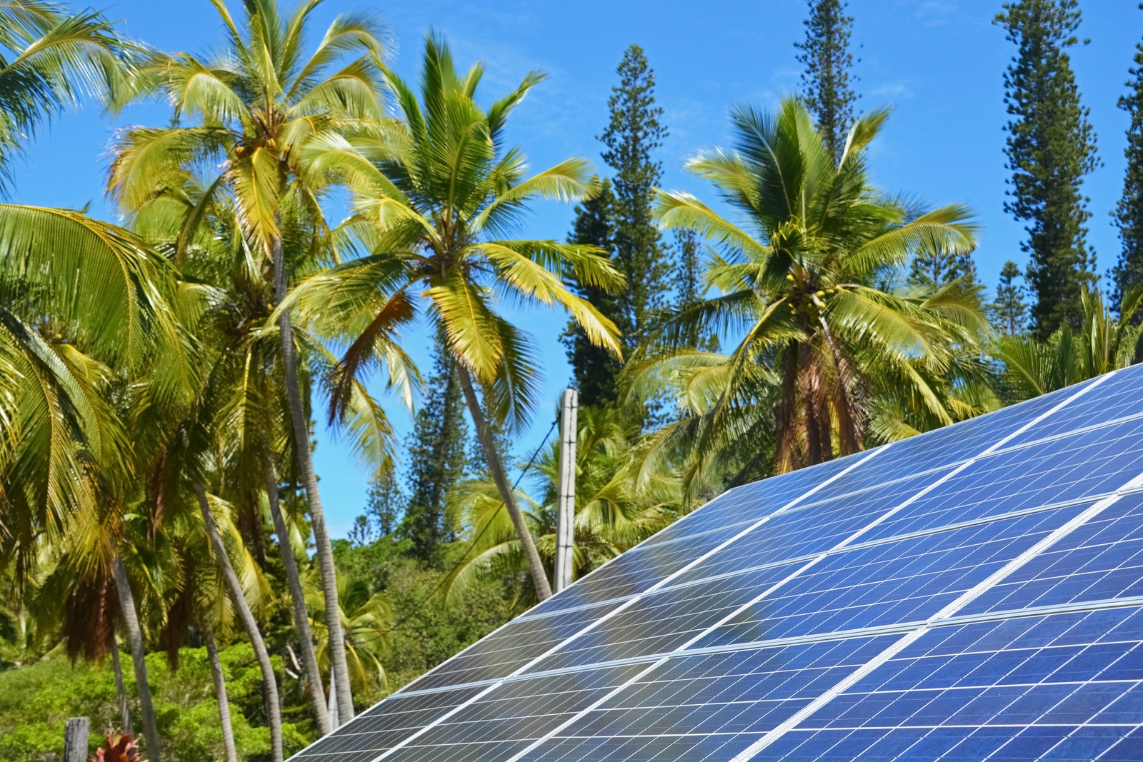 rural marketplace, solar panels, local businesses in Philippines