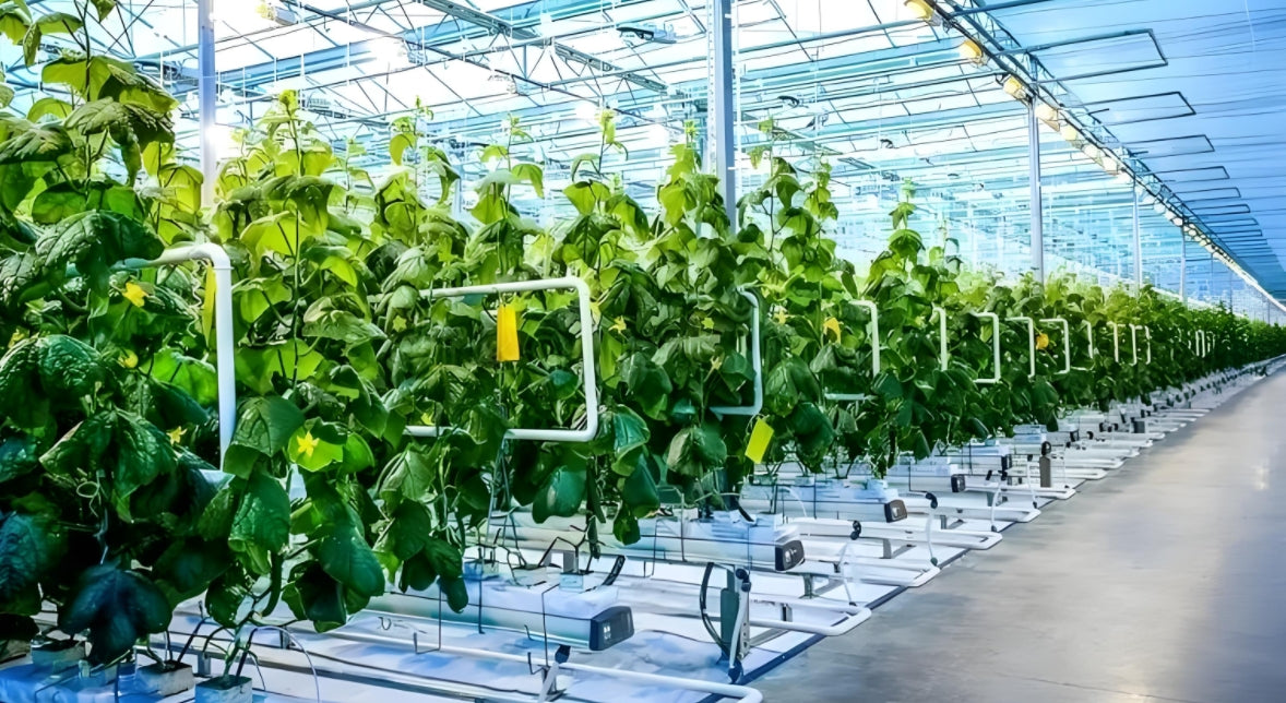 smart farming field sensors and greenhouse