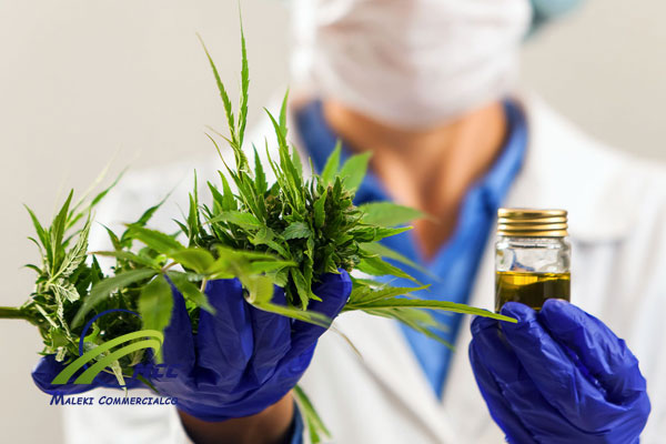 extracted bioactive compounds and green plants