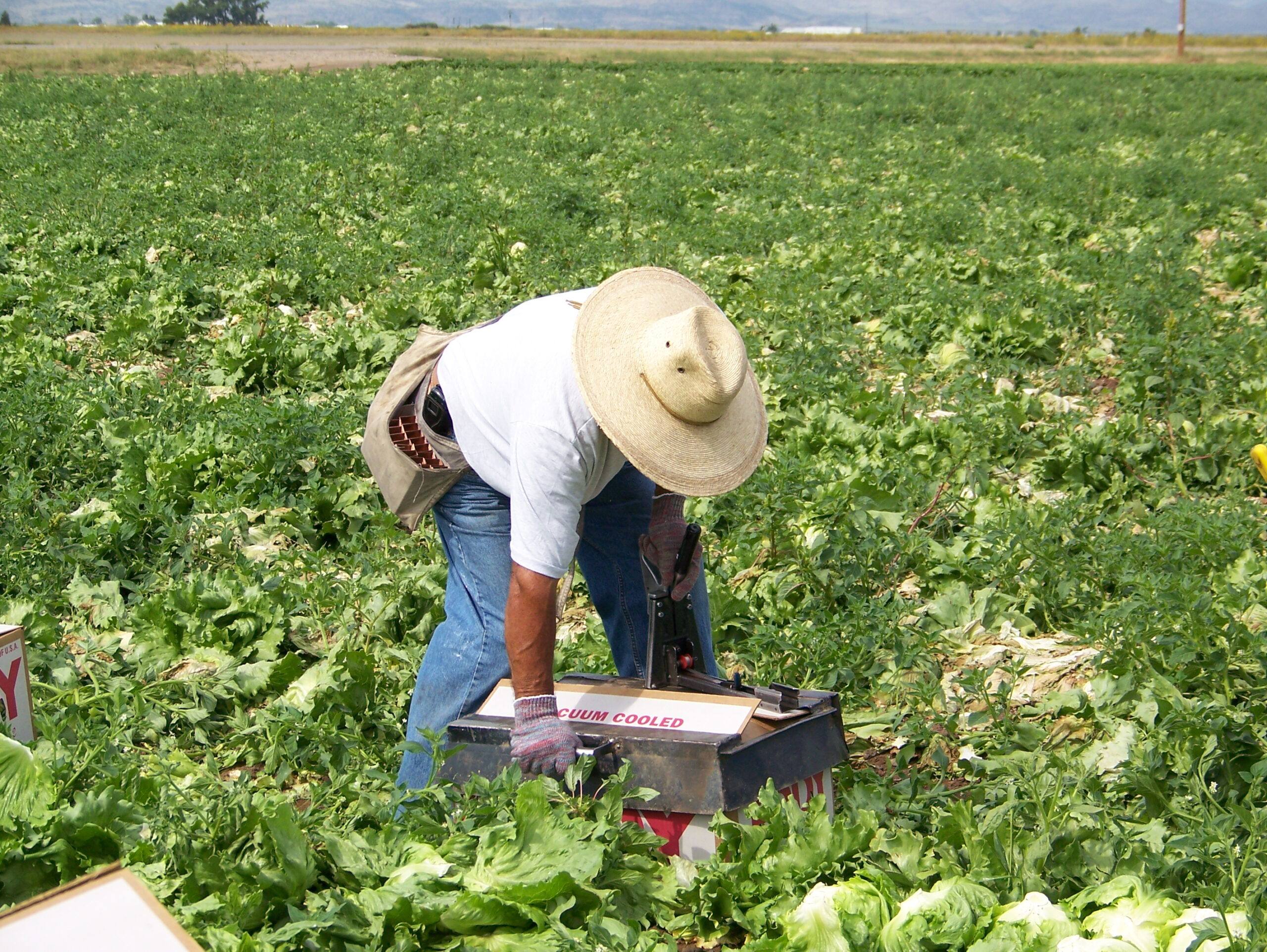 migrant workers community outreach