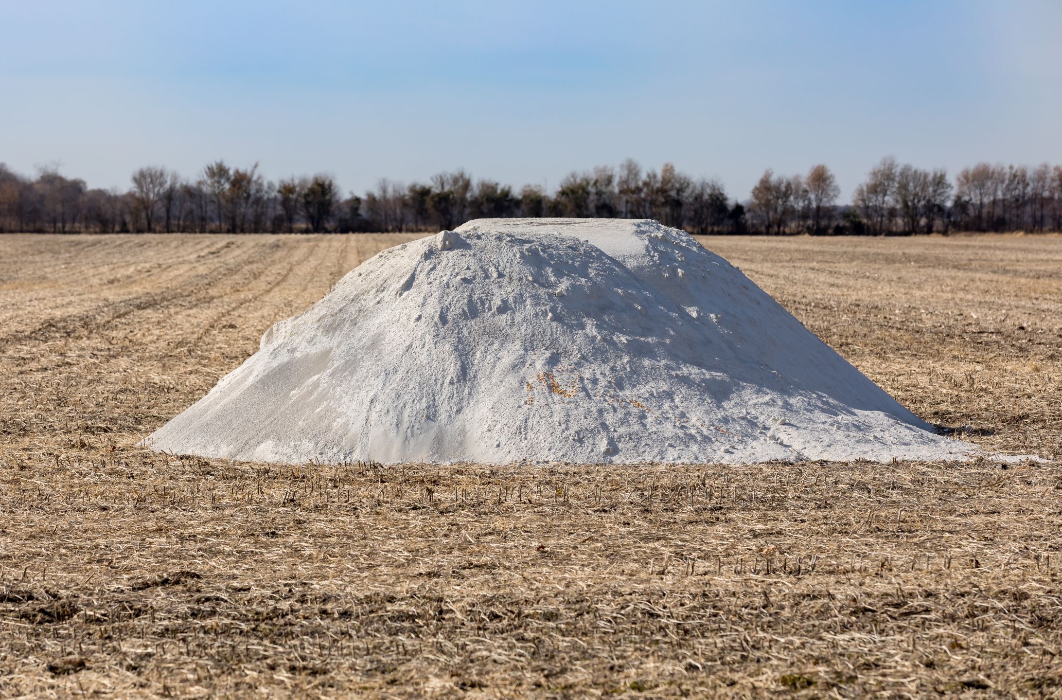 limed soil field