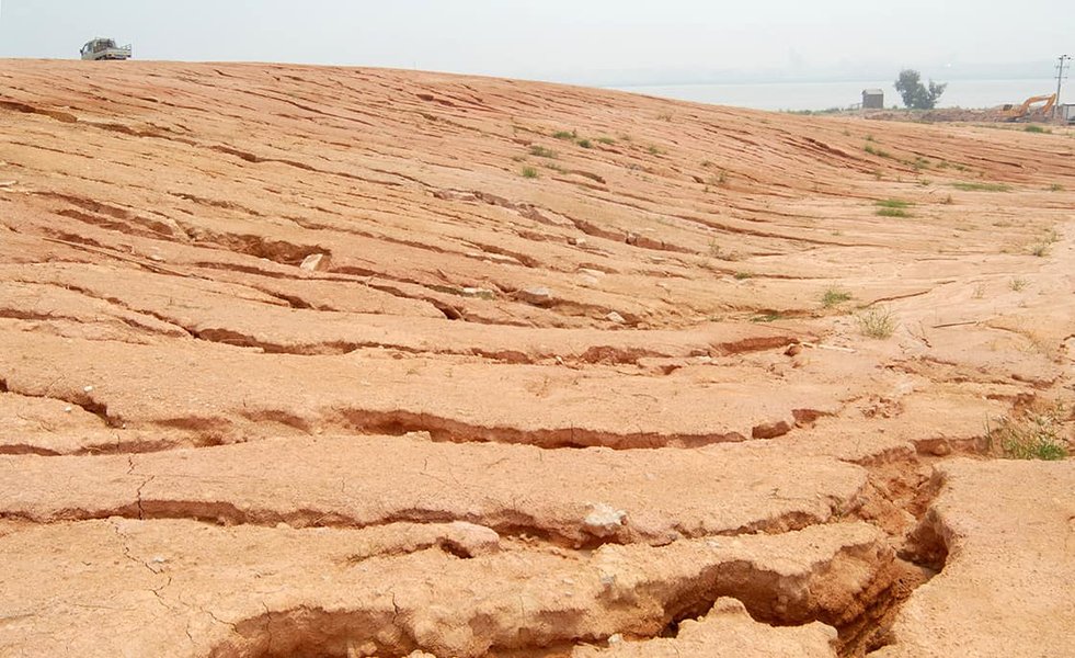 Close-up of soil showing signs of erosion, contrasted with nearby healthy vegetation.