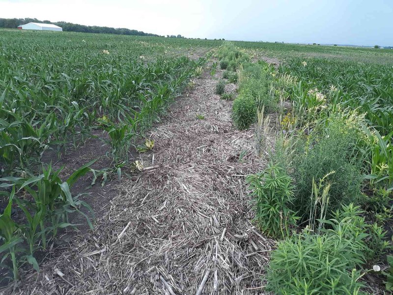 soil-erosion-causes-effects-prevention-00yll8ja