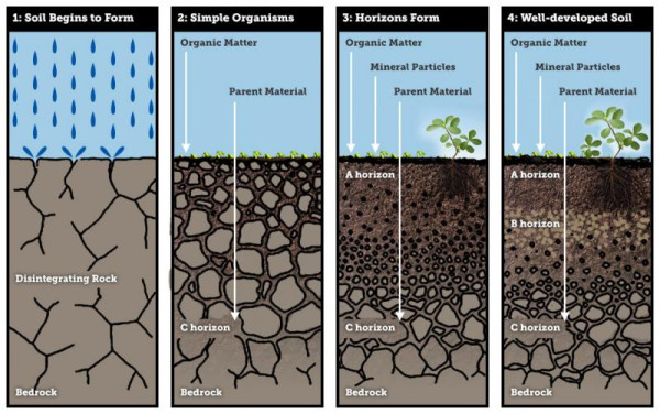 soil formation landscape field research