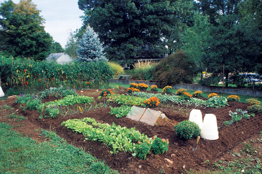 fertile soil landscape