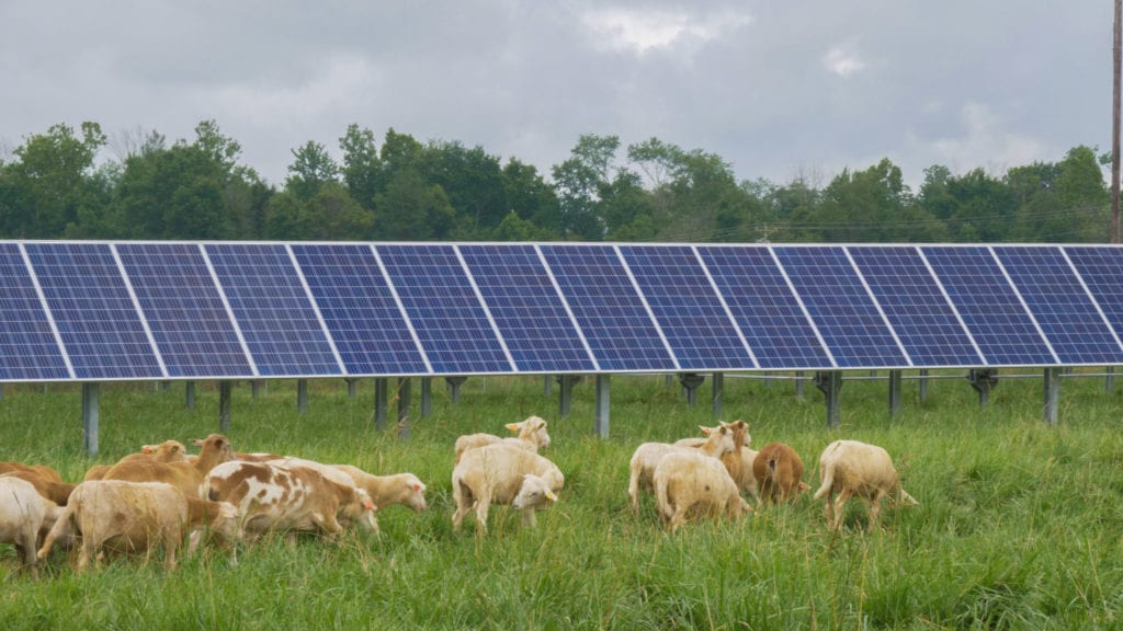 rural solar farm