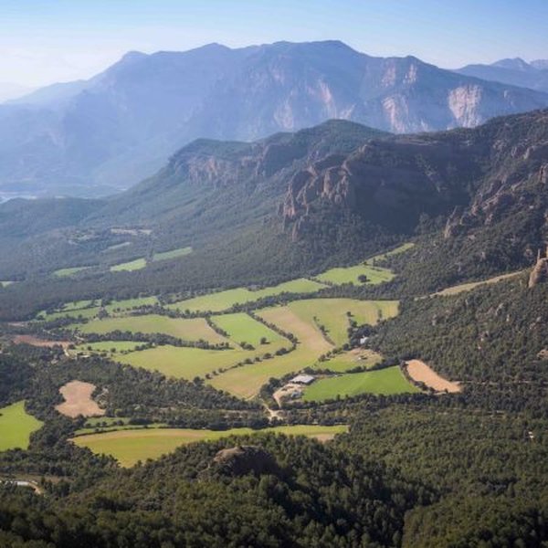 Sendero boscoso en el Solsonès