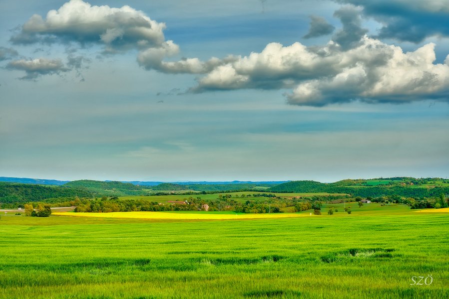 Paisaje primaveral del Solsonès ideal para un picnic