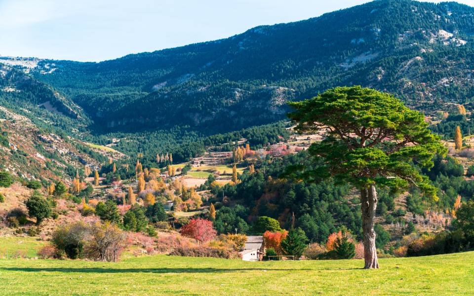 Paisaje típico del Solsonès con masías y campos