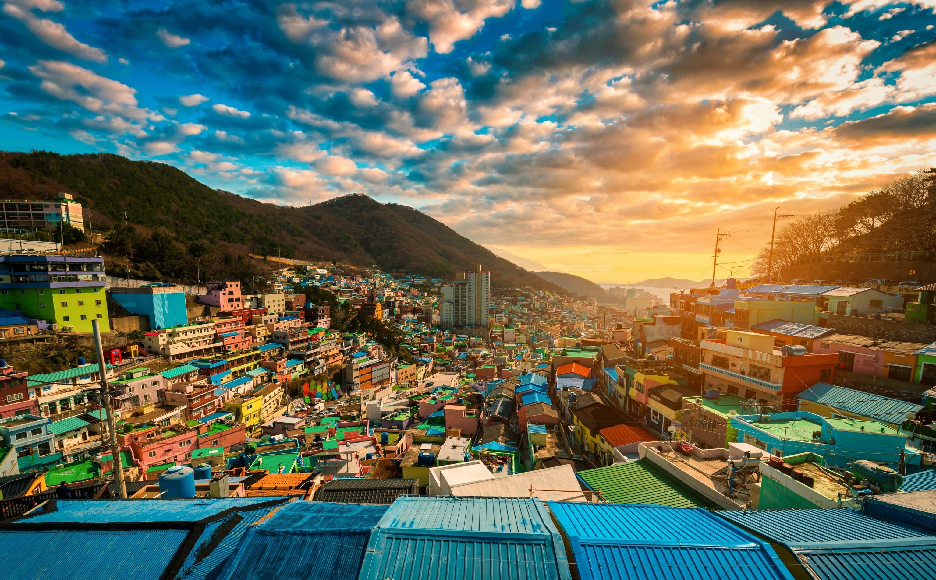 vibrant nature and urban scenes in korea