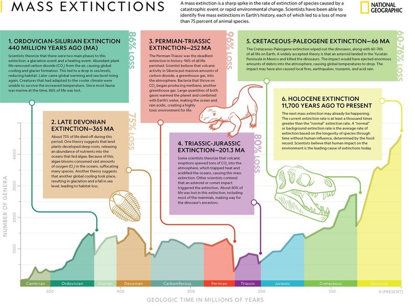 speciation-extinction-biodiversity-dynamics-437913g4
