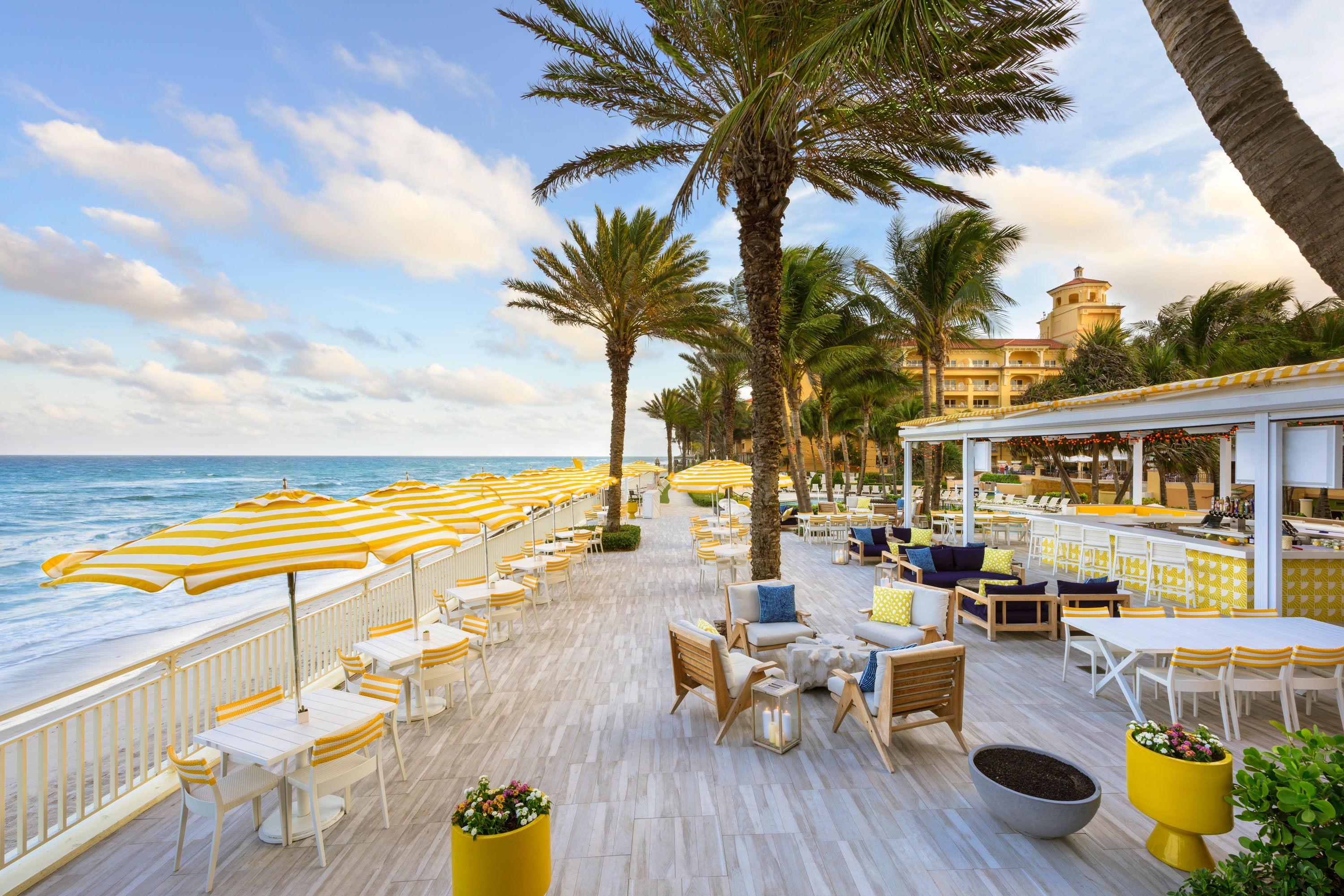 palm trees resort beach