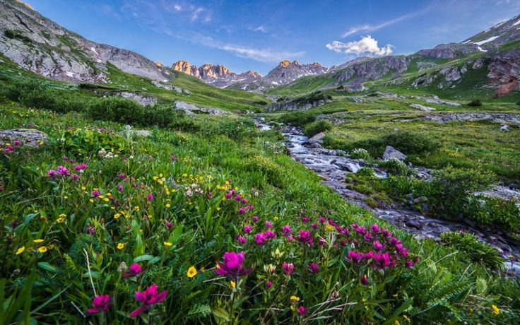 scenic spring landscape streams