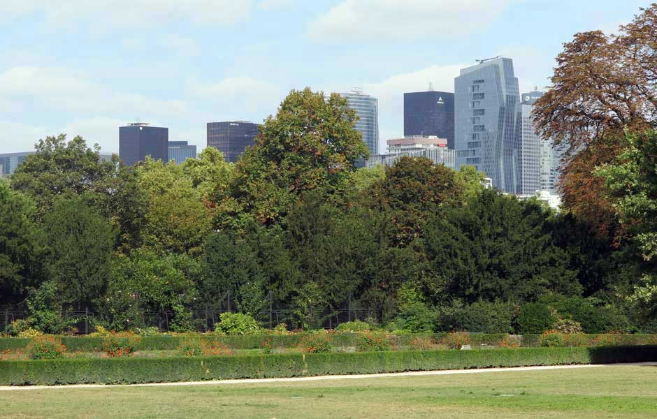urban scenery with trees